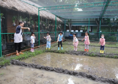 <strong>Read more about</strong><br>อนุบาล ๓ หว่านเมล็ดข้าว (พ. ๒๕ มิ.ย.๖๘) อนุบาล ๓ หว่านเมล็ดข้าว (พ. ๒๕ มิ.ย.๖๘)