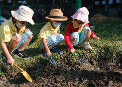 <strong>Read more about</strong><br>อนุบาล 2 เตรียมดินปลูกผัก (จ. 6 ม.ค.68) อนุบาล 2 เตรียมดินปลูกผัก (จ. 6 ม.ค.68)