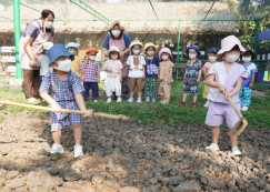 <strong>Read more about</strong><br>น้องเด็กเล็กเตรียมดินและเพาะเมล็ดผัก (จ. 6 ม.ค. 68) น้องเด็กเล็กเตรียมดินและเพาะเมล็ดผัก (จ. 6 ม.ค. 68)