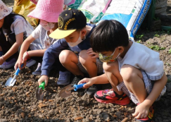 <strong>Read more about</strong><br>อนุบาล 3 ปลูกผักสวนครัว (7-8 ม.ค.68) อนุบาล 3 ปลูกผักสวนครัว (7-8 ม.ค.68)