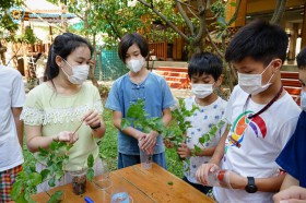 ป.6 บูรณาการ &quot;การขยายพันธุ์พืช&quot; (1 มี.ค.65) Image 6