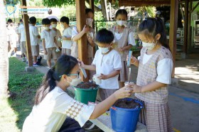 ป.2 บูรณาการปลูกพืชดอกโดยการเพาะเมล็ด (20 มิ.ย.65) Image 2