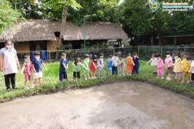 อนุบาล 2 หว่านข้าวในแปลงนา (6 ก.ค.65) Image 3