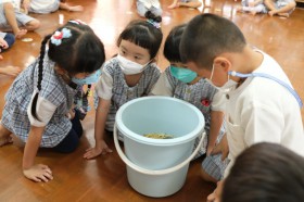 อนุบาล 3 แช่ข้าวและหว่านข้าว (5, 8 ก.ค.65) Image 2