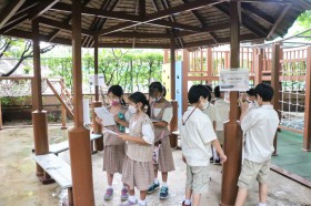ป.4 บูรณาการ เรียนรู้ภูมิภาคของประเทศไทย (5 ก.ย.65) Image 1