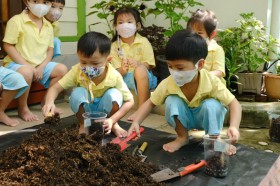 อนุบาล 1 ปลูกผักบุ้ง (7 ต.ค.65) Image 3