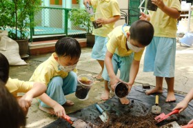 อนุบาล 1 ปลูกผักบุ้ง (7 ต.ค.65) Image 8