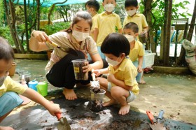 อนุบาล 1 ปลูกผักบุ้ง (7 ต.ค.65) Image 1