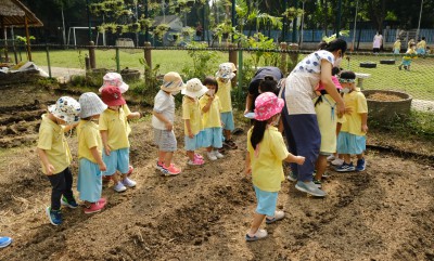 โครงการหนูชอบปลูกผัก อ.๑/๓ ปลูกแครอท (๑๓ ม.ค.๖๖) Image 1