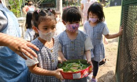 โครงการลูกเจี๊ยบน่ารัก การทดลองสมมติฐานอาหารไก่ อ.๒/๑ (๒๔ ม. ... Image 1