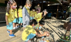 โครงการลูกเจี๊ยบน่ารัก การทดลองสมมติฐานอาหารไก่ อ.๒/๑ (๒๔ ม. ... Image 7