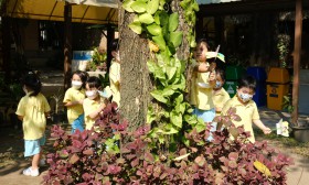อ.๑/๒ พาผีเสื้อออกมาบินเล่น (๖ ก.พ.๖๖) Image 5
