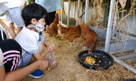 อ.๒/๑ พบวิทยากรเลี้ยงไก่ Silky และดูเล้าไก่ไข่ (๖-๗ ก.พ.๖๖) Image 7