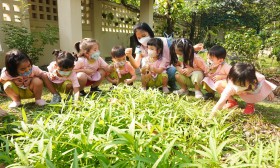 กิจกรรมเกษตรบ้านเด็กเล็ก (เก็บผักสวนครัวที่ปลูกไว้) ๒๓ ก.พ.  ... Image 2