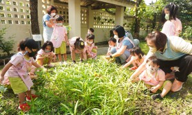 กิจกรรมเกษตรบ้านเด็กเล็ก (เก็บผักสวนครัวที่ปลูกไว้) ๒๓ ก.พ.  ... Image 3