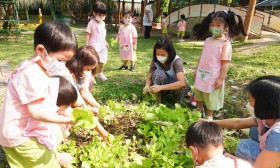 กิจกรรมเกษตรบ้านเด็กเล็ก (เก็บผักสวนครัวที่ปลูกไว้) ๒๓ ก.พ.  ... Image 4