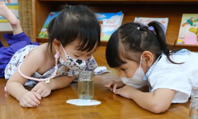 อนุบาล 2 กิจกรรมสังเกตการเจริญเติบโตของกบ (พ. 28 มิ.ย.66) Image 1