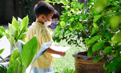 อนุบาล 2 เดินสำรวจแมลง (จ. 2 ต.ค.66) Image 1