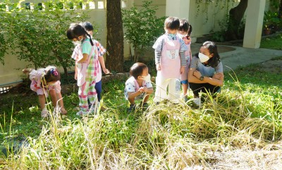 กิจกรรมเกษตร บ้านเด็กเล็ก (เกี่ยวข้าว) จ. 20 พ.ย. 66 Image 1