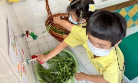 อนุบาล 1 เก็บผักบุ้ง และประกอบอาหาร (21-22 ก.พ.67) Image 12