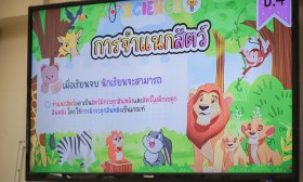 ป.4 ทดลอง &quot;การจำแนกสัตว์&quot; (31 พ.ค.67) Image 1