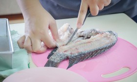 ป.4 ทดลอง &quot;การจำแนกสัตว์&quot; (31 พ.ค.67) Image 2