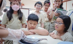 ป.4 ทดลอง &quot;การจำแนกสัตว์&quot; (31 พ.ค.67) Image 3