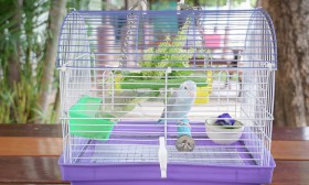 ป.1 กิจกรรม Mini Zoo (5 พ.ค.67) Image 1