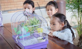 ป.1 กิจกรรม Mini Zoo (5 พ.ค.67) Image 13