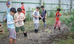 ป.5 ย่ำดิน..ปลูกข้าว (24-25 มิ.ย.67) Image 14