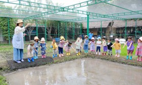 อนุบาล 1 หว่านเมล็ดข้าว (3-4 ก.ค.67) Image 8