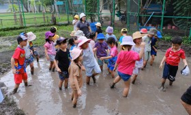 อนุบาล 3 ย่ำดินเตรียมแปลงนา (พฤ. 4 ก.ค.67) Image 8