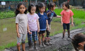 อนุบาล 2 ย่ำดินเตรียมแปลงนา (พฤ. 11 ก.ค.67) Image 9
