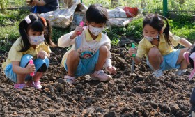 อนุบาล 2 เตรียมดินปลูกผัก (จ. 6 ม.ค.68) Image 10