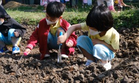 อนุบาล 2 เตรียมดินปลูกผัก (จ. 6 ม.ค.68) Image 11