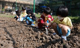อนุบาล 2 เตรียมดินปลูกผัก (จ. 6 ม.ค.68) Image 12