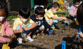 อนุบาล 2 เตรียมดินปลูกผัก (จ. 6 ม.ค.68) Image 8