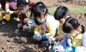 อนุบาล 2 เตรียมดินปลูกผัก (จ. 6 ม.ค.68) Image 9