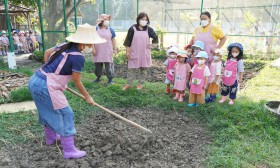 น้องเด็กเล็กเตรียมดินและเพาะเมล็ดผัก (จ. 6 ม.ค. 68) Image 1