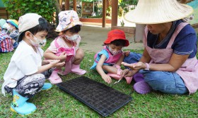 น้องเด็กเล็กเตรียมดินและเพาะเมล็ดผัก (จ. 6 ม.ค. 68) Image 9