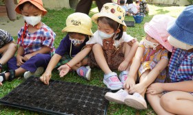 น้องเด็กเล็กเตรียมดินและเพาะเมล็ดผัก (จ. 6 ม.ค. 68) Image 10