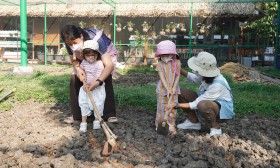 น้องเด็กเล็กเตรียมดินและเพาะเมล็ดผัก (จ. 6 ม.ค. 68) Image 4
