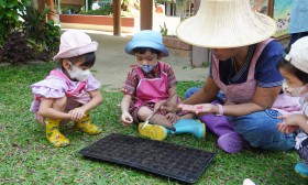 น้องเด็กเล็กเตรียมดินและเพาะเมล็ดผัก (จ. 6 ม.ค. 68) Image 8
