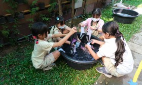ป.3 บูรณาการ : การใช้ประโยชน์จากดวงอาทิตย์ในการตากผ้า (8 ม.ค ... Image 9