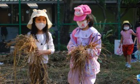 อนุบาล 3 ปลูกผักสวนครัว (7-8 ม.ค.68) Image 12