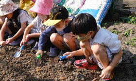 อนุบาล 3 ปลูกผักสวนครัว (7-8 ม.ค.68) Image 4