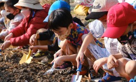 อนุบาล 3 ปลูกผักสวนครัว (7-8 ม.ค.68) Image 6