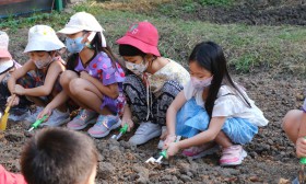 อนุบาล 3 ปลูกผักสวนครัว (7-8 ม.ค.68) Image 7
