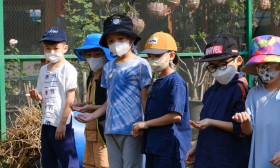 อนุบาล 3 ปลูกผักสวนครัว (7-8 ม.ค.68) Image 9