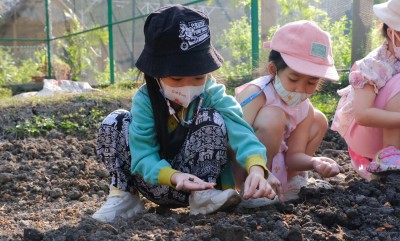 อนุบาล 2 ปลูกผักสวนครัว (พ. 8 ม.ค.67) Image 1